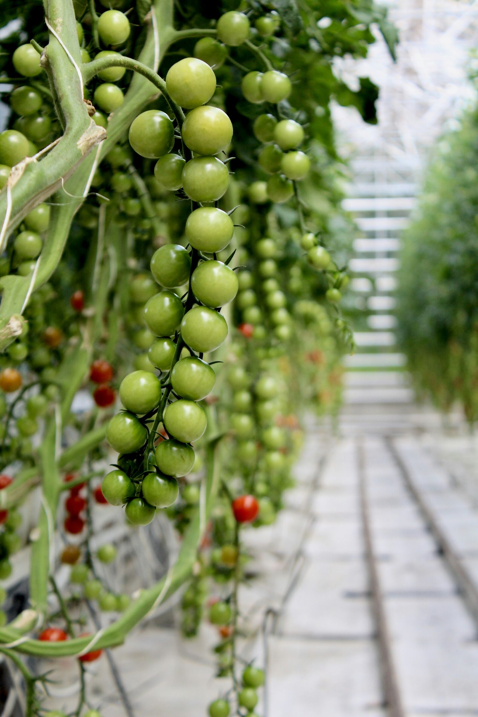 Realisatie en implementatie Energiehub